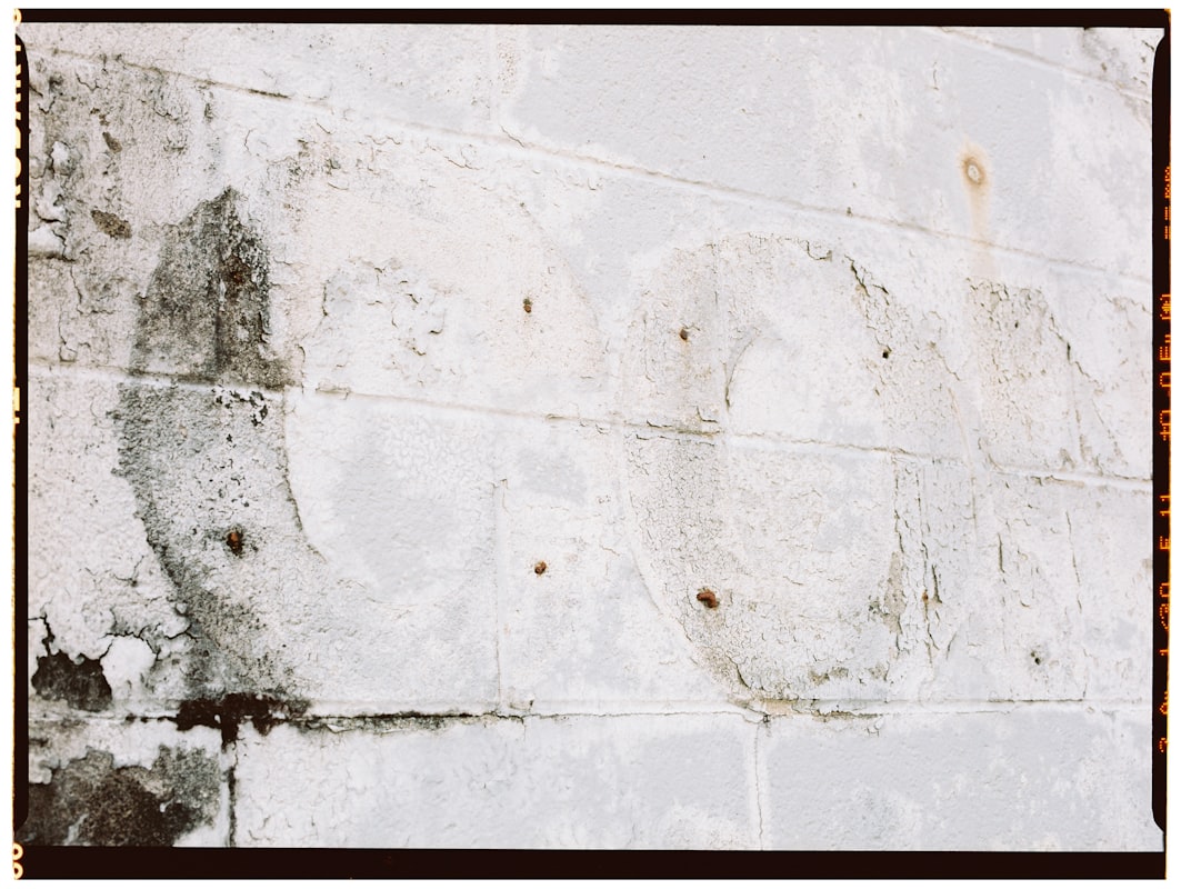 Mold Remediation service in Roseville, CA